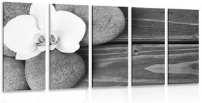 Πέτρες ευεξίας και ορχιδέα με 5 μέρη σε ξύλινο φόντο σε ασπρόμαυρο σχέδιο - 200x100