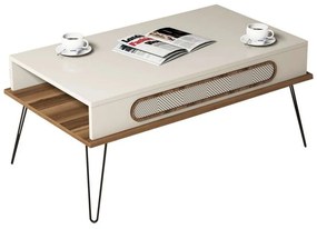 Τραπέζι Σαλονιού HM9500.03 105x56x45,8cm Μεταλλικά Πόδια Ecru