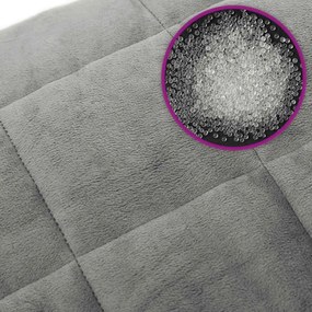 vidaXL Κουβέρτα Βαρύτητας Γκρι 200 x 200 εκ. 13 κ. Υφασμάτινη