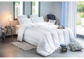 Σκανδιναβικό Παπλώμα Blanreve 300 g/m²