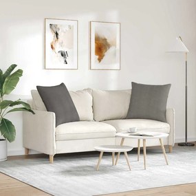 vidaXL Μαξιλάρι Καναπέ 2 pcs Ανοιχτό γκρι 80 x 80 cm