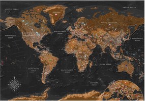 Αυτοκόλλητη φωτοταπετσαρία - World: Stylish Map - 343x245