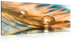Εικόνα σταγόνα νερού σε χρυσό φτερό - 120x60