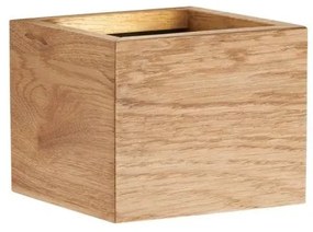Απλίκα Φωτιστικό Τοίχου LED 3W SHINE-WOOD Φυσικό Ξύλο 2700K 30543 Fischer Honsel-30543-Μπεζ 30543
