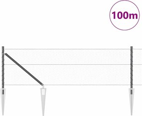 vidaXL Συρματόπλεγμα με ακίδες 100 x 0,6 μ (Π x Υ)