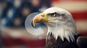 Σετ των 2 Intra Συλλεκτικό Ξύλινο Παζλ Plywood 4mm - Φαλακρός αετός κατά της αμερικανικής σημαίας Σε Ξύλινο Κουτί - Διαστάσεις: 10x10 cm – 25 κομμάτια