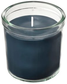 FRUKTSKOG αρωματικό κερί σε ποτήρι/Βέτιβερ &amp; γεράνι, 40 ώρες 905.558.30