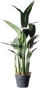Supergreens Τεχνητό Δέντρο Πουλί του Παραδείσου Strelizia Reginas Πράσινο 100 εκ