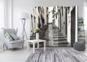 Διαχωριστικό με 5 τμήματα - Altea Old Town II [Room Dividers] 225x172