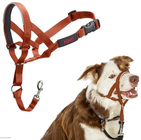 Ρύγχος Company of Animals BURNT Πορτοκαλί 2