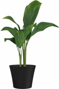 Γλάστρα Garden ID