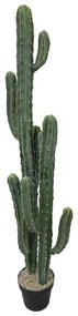 Τεχνητό Φυτό Εφόρμπια 5101-6 143cm Green Supergreens Polyethylene