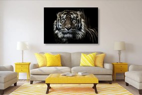 Εικόνα τίγρη - 60x40