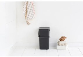 Κάδος διαχωρισμού απορριμμάτων Brabantia Sort&Go 647670, 12 l, Χειρολαβή, Επιτοίχιος, Σκούρο γκρι