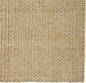 vidaXL Χαλί Σιζάλ για Ονυχοδρόμιο 100x100 εκ.