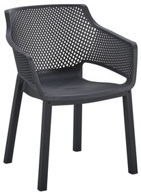 ΠΟΛΥΘΡΟΝΑ ΠΟΛΥΠΡΟΠΥΛΕΝΙΟΥ PEGGY HM6368.02 ΜΑΥΡΟ 60x55x79Υεκ