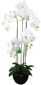 Supergreens Τεχνητό Φυτό Ορχιδέα Phalaenopsis Λευκό 110 εκ.