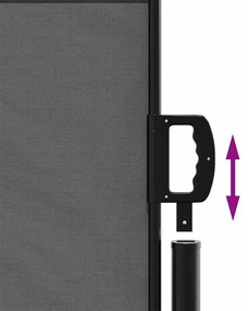 vidaXL Πτυσσόμενη Πλαϊνή Τέντα Ανθρακί 140x300 εκ.