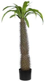 Τεχνητό Δέντρο Pachypodium Lamerei Palm Tree 20129 Φ60x100cm Brown-Green GloboStar Πολυαιθυλένιο