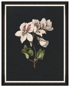 Κάδρο Delicate Bloom I FA13145 70X90 MindTheGap Κάθετοι Wood