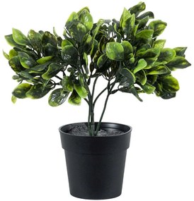 Τεχνητό Φυτό Anubia Barteri 20390 30cm Green Globostar Polyethylene