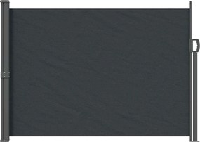 vidaXL Ανακλινόμενος Πλευρικός Απλώστρα 120 x 300 cm