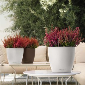 LECHUZA Γλάστρα CLASSICO Color 21 ALL-IN-ONE Λευκή