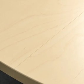 MITTZON τραπέζι συνεδριάσεων/στρογγυλό, 120x75 cm 995.139.30
