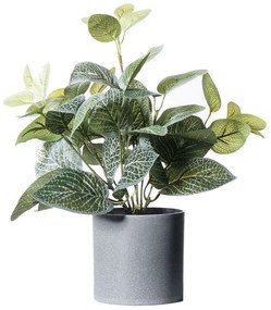 Τεχνητό Φυτό Πόλκα 2460-6 27x27x36cm Green Supergreens Polyethylene