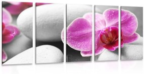 5 μέρη εικόνα λουλούδια ορχιδέες σε λευκές πέτρες - 100x50
