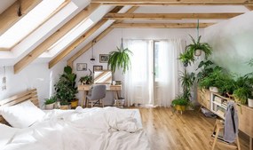 Τουαλέτα Nature-Drus