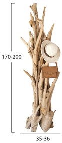 ΚΑΛΟΓΕΡΟΣ  ΑΠΟ ΜΑΣΙΦ ΞΥΛΟ TEAK ΦΥΣΙΚΟ 170-200ΕΚ.