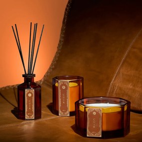 Αρωματικό Χώρου 180ml Με Στικς A-S Lucien Leather 222671D