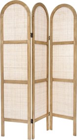 Παραβάν (120x1.8x169.5) A-S Rattan 178720