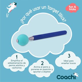 Training toy Coachi Stick Μπλε