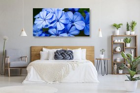 Εικόνα με γραφικά μπλε λουλούδια - 120x60