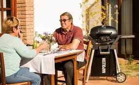 Φορητή Ψησταριά Υγραερίου Napoleon TravelQ PRO285