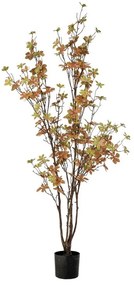 Φυτό Enkianthus 89786 120cm Natural-Green Πλαστικό