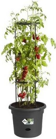 Βάζο Λουλουδιών Elho Basics Tomato Μαύρο (Ø 33 cm)