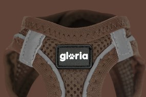 Λουρί Σκύλου Gloria 31-34,6 cm Καφέ S 27-28 cm