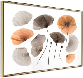 Αφίσα - Dried Poppies - 60x40 - Χρυσό - Χωρίς πασπαρτού