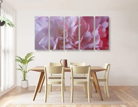5 μέρη εικόνα ροζ γαρύφαλλα πέταλα - 100x50
