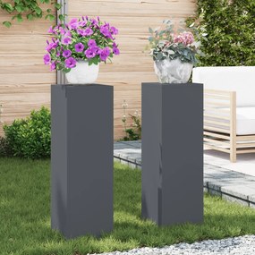 vidaXL Στήριξη φυτών 2 pcs Ανθρακί 24 x 24 x 75 εκ. Ατσάλι