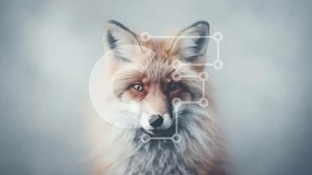 Intra Συλλεκτικό Ξύλινο Παζλ Plywood  4mm - Κοντινή εικόνα μιας κόκκινης αλεπούς με έντονο βλέμμα Σε Ξύλινο Κουτί - Διαστάσεις: 10x10 cm – 25 κομμάτια