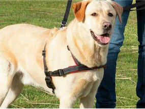 Λουρί Σκύλου Trixie