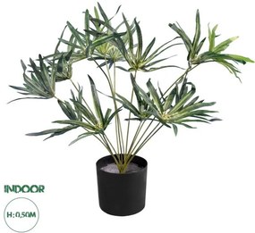 Artificial Garden BROADLEAF LADY PALM 20059 Τεχνητό Διακοσμητικό Φυτό Πλατύφυλλος Φοίνικας Μπαμπού Υ50cm Globostar-20059-Πράσιν 20059