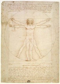 Leonardo da Vinci - Εκτύπωση έργου τέχνης The Proportions of the human figure , c.1492, (30 x 40 cm)