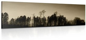 Εικόνα δάσος σέπια - 120x40