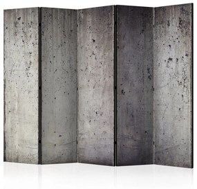 Διαχωριστικό με 5 τμήματα - Grey City [Room Dividers] 225x172