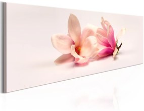 Πίνακας - Beautiful Magnolias 120x40